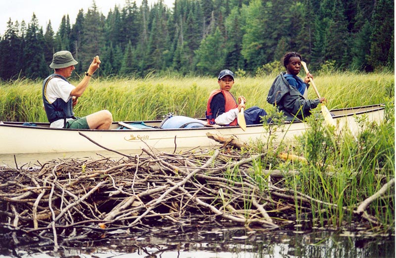 5 Day Canoe Trip Algonquin Park Vacations Call Of The Wild